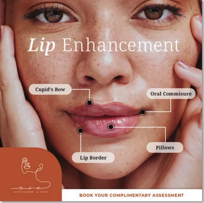 Aesthetics ad: lip enhancement anatomy diagram